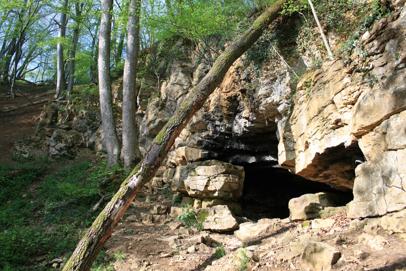 Bruderloch-Höhle – Naturschutz „goes underground“