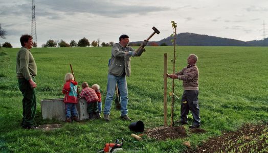 Arbeitseinsätze